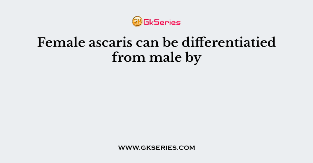 Female ascaris can be differentiatied from male by