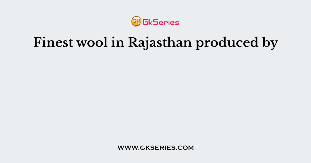 Finest wool in Rajasthan produced by