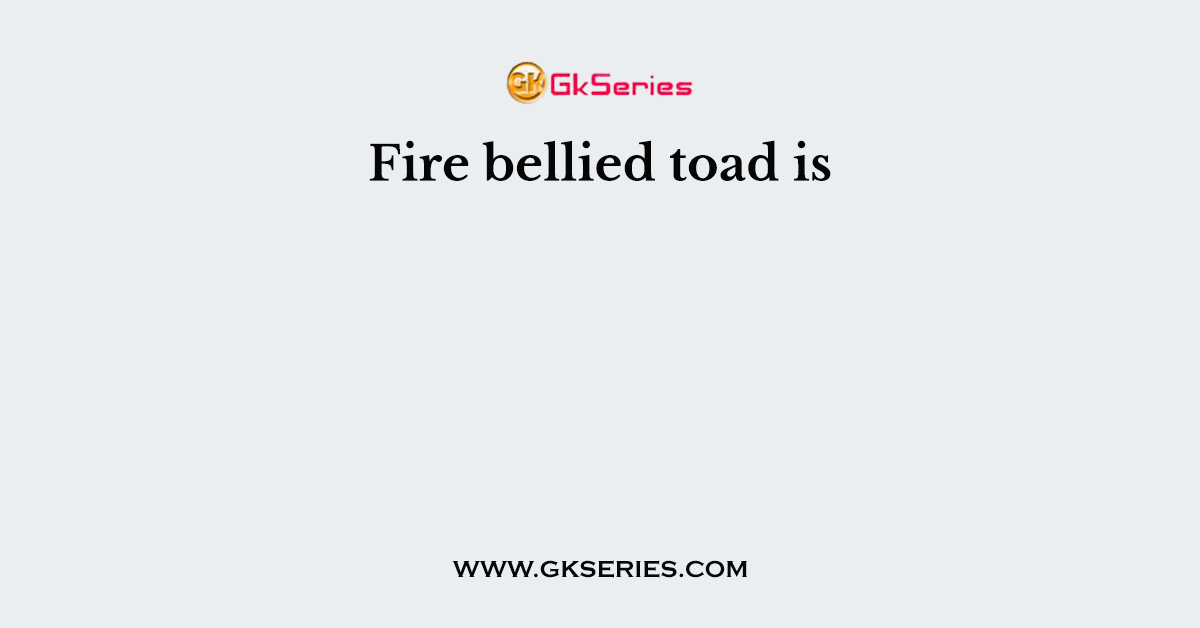 Fire bellied toad is