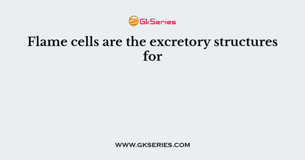 Flame cells are the excretory structures for