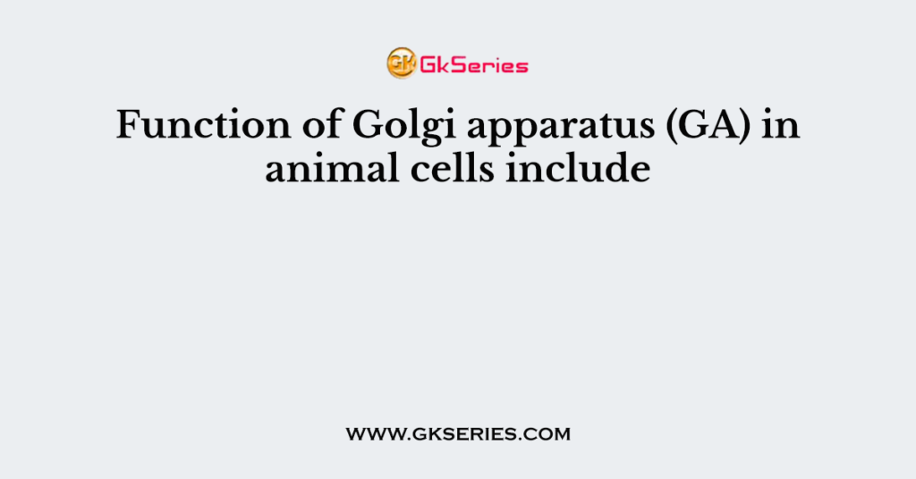 Function of Golgi apparatus (GA) in animal cells include