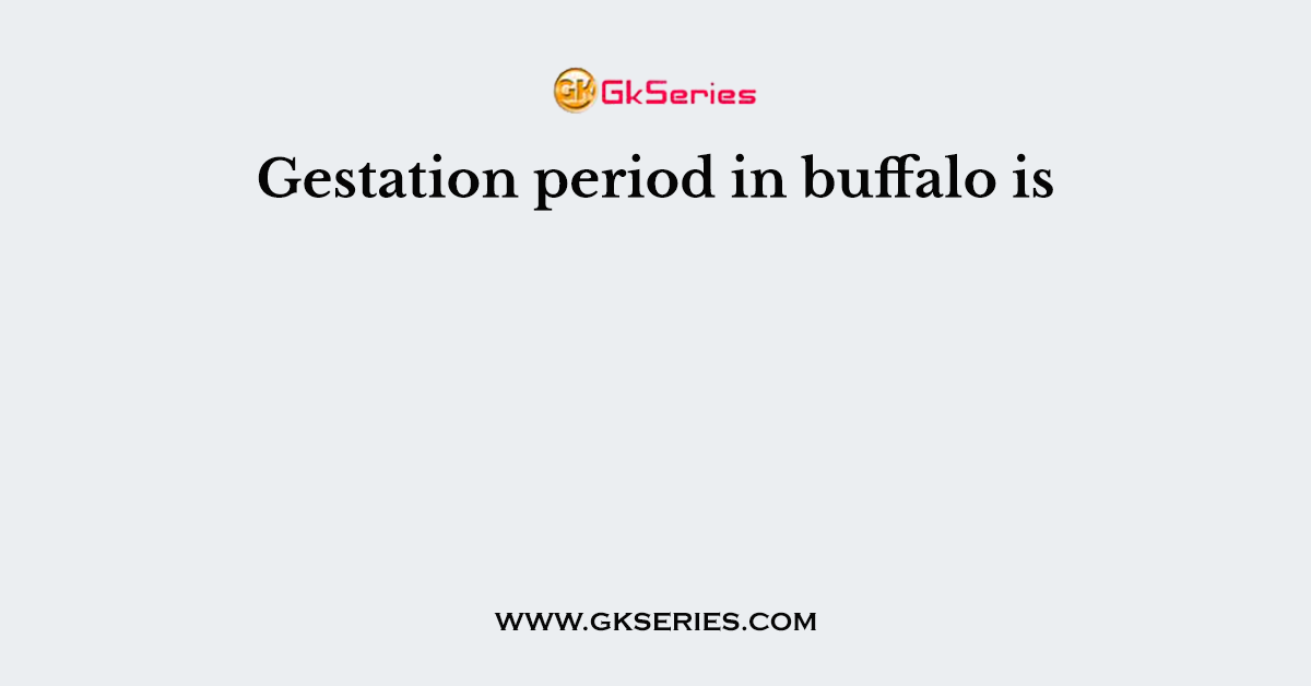 Gestation period in buffalo is