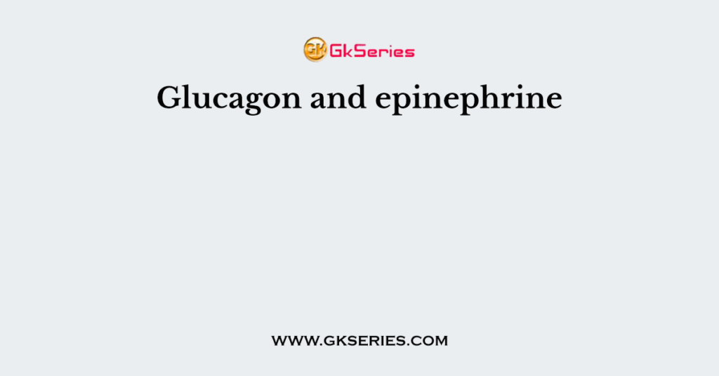 Glucagon and epinephrine