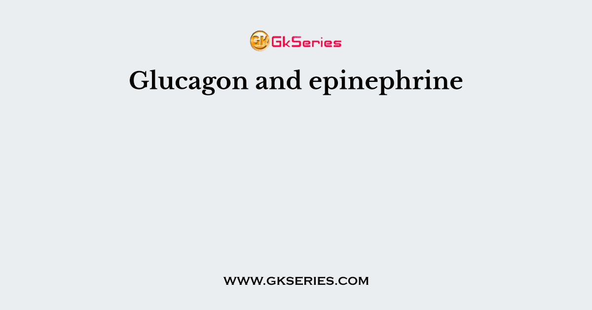 Glucagon and epinephrine