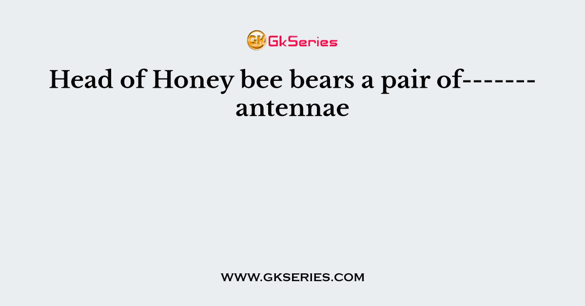 Head of Honey bee bears a pair of------- antennae