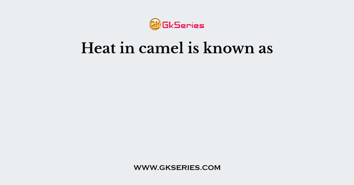 Heat in camel is known as