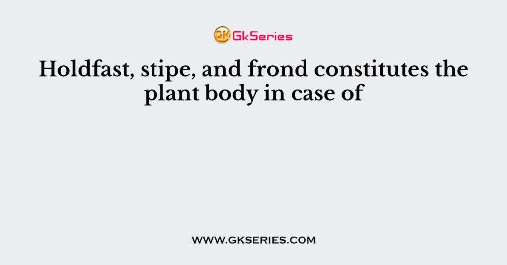 Holdfast, stipe, and frond constitutes the plant body in case of