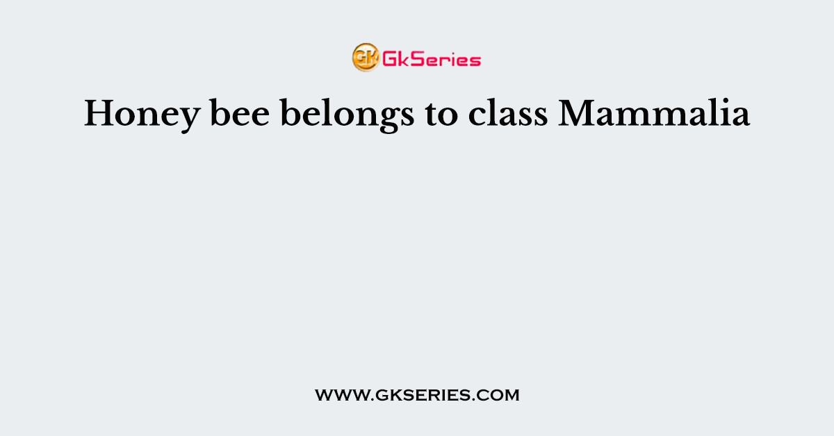 Honey bee belongs to class Mammalia.