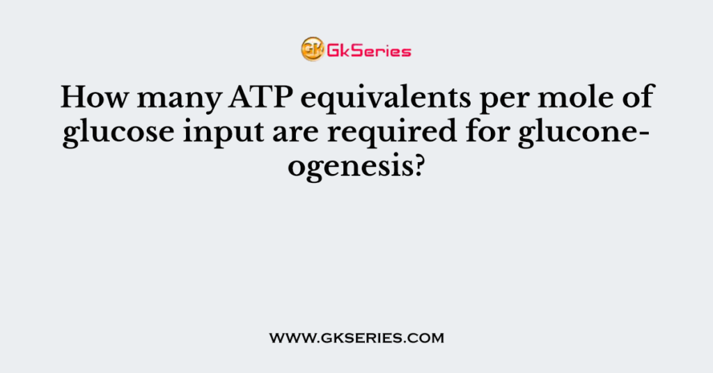 How many ATP equivalents per mole of glucose input are required for gluconeogenesis?