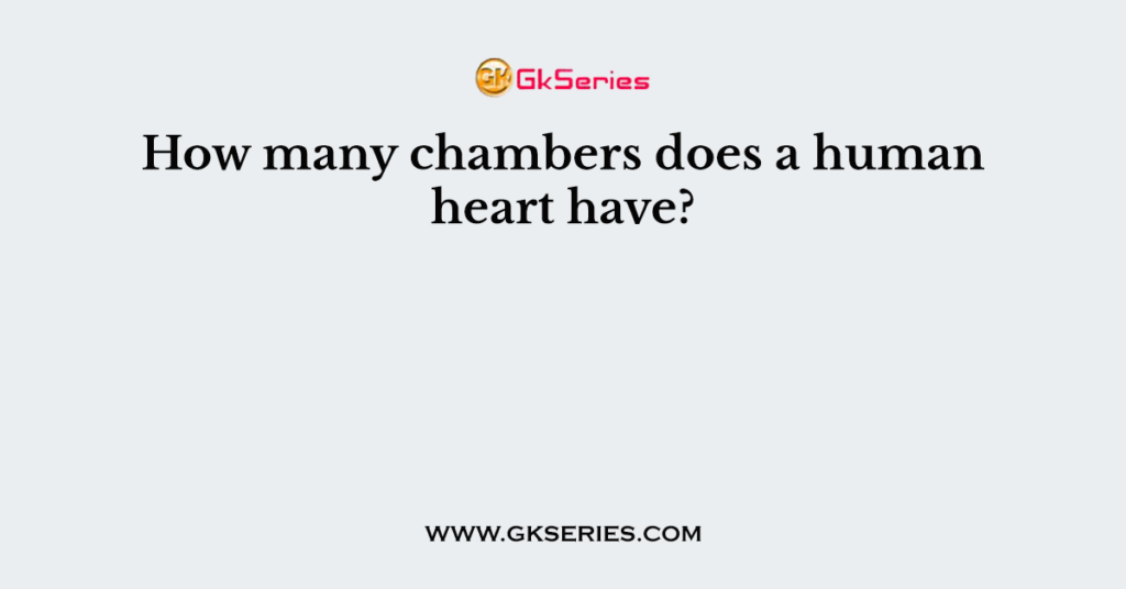 How many chambers does a human heart have?