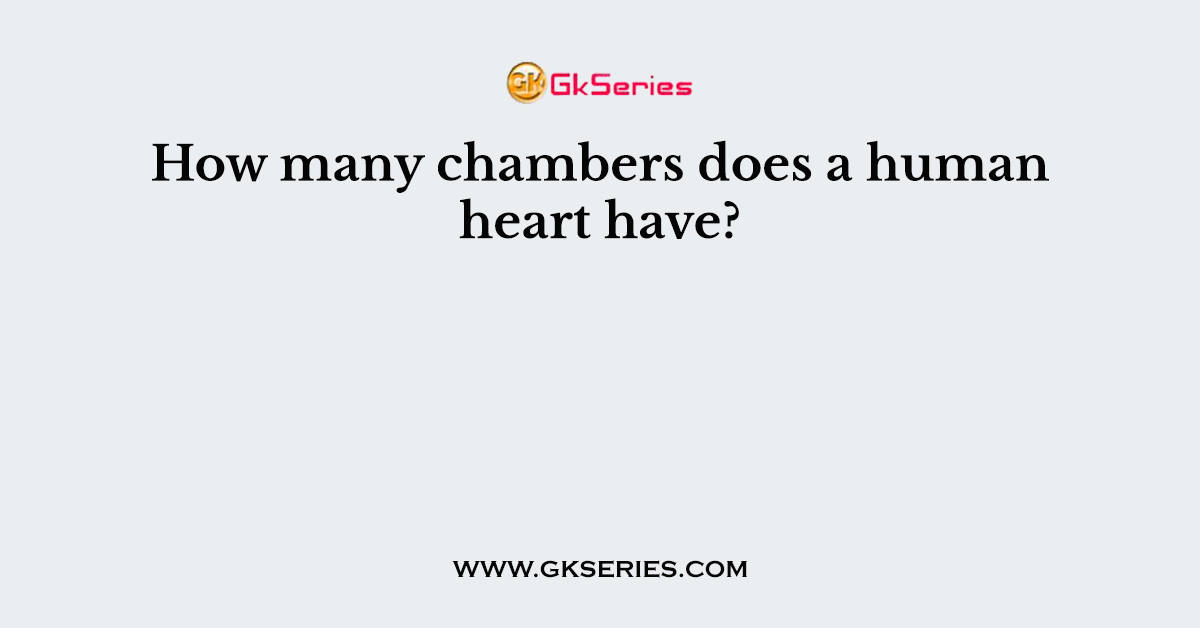 How many chambers does a human heart have?