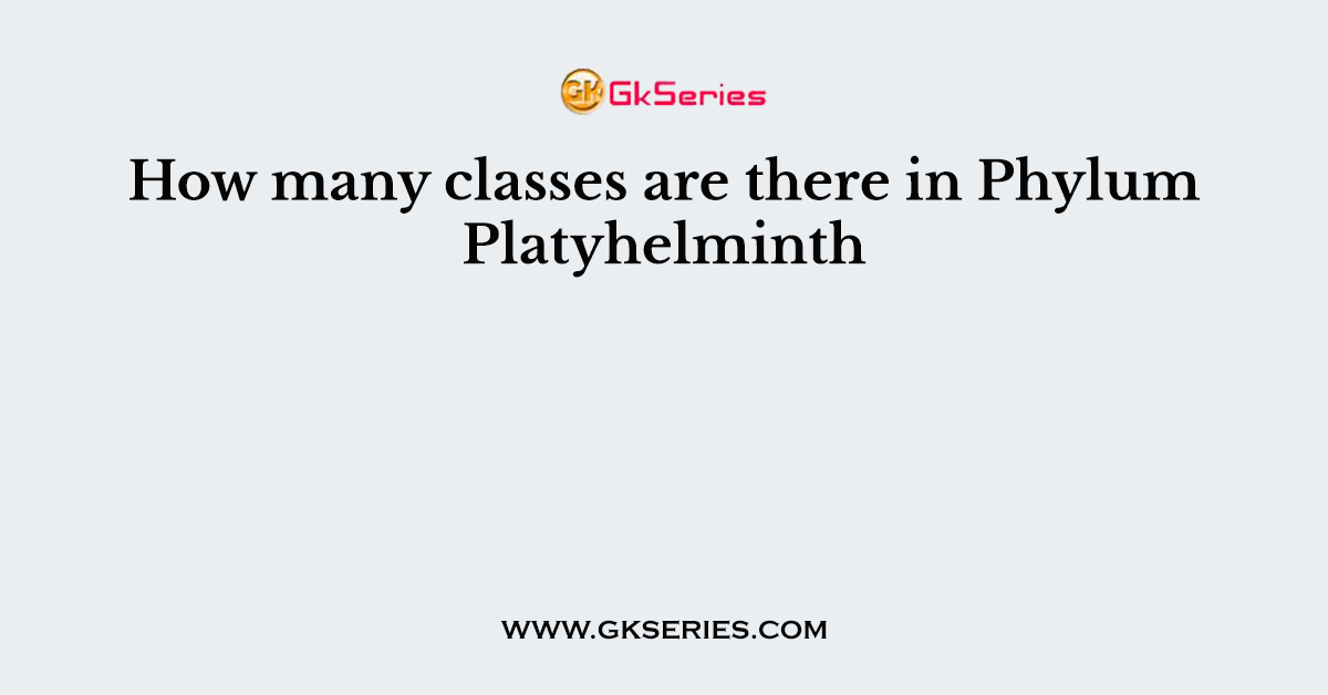 How many classes are there in Phylum Platyhelminth
