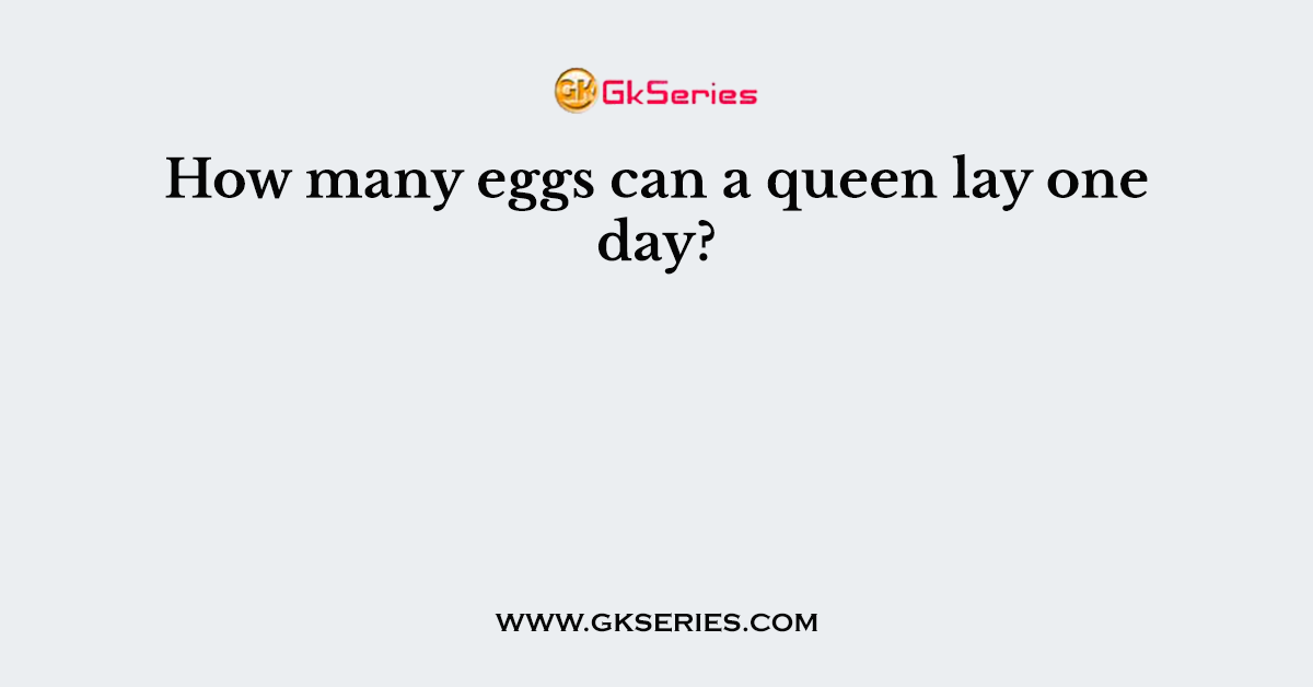 How many eggs can a queen lay one day?