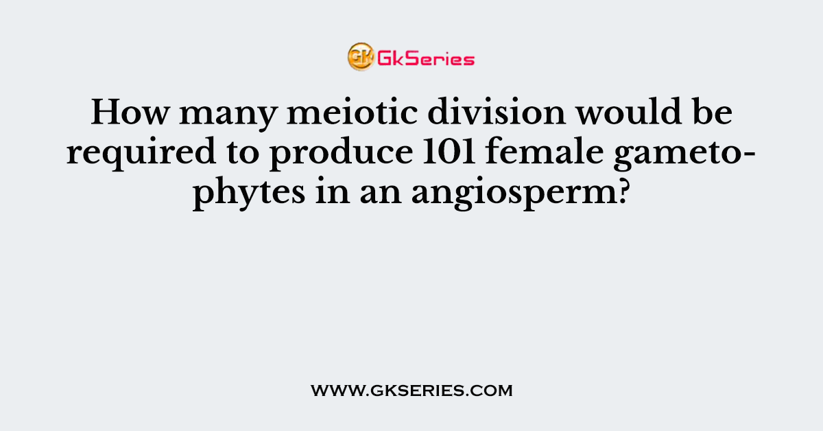 How many meiotic division would be required to produce 101 female gametophytes in an angiosperm?