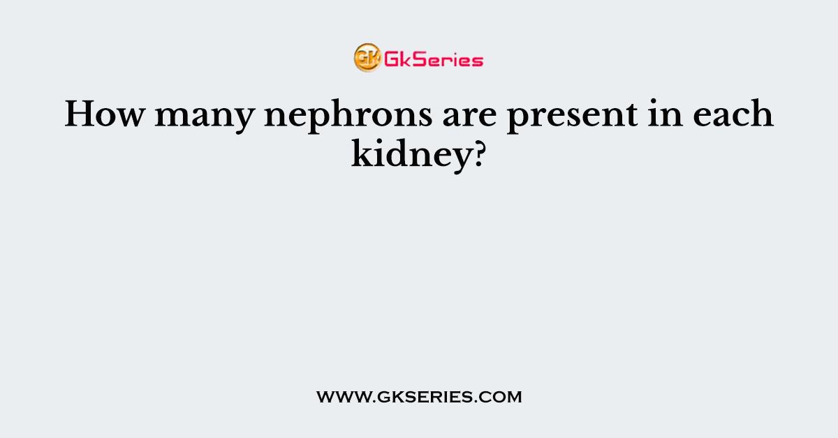 How many nephrons are present in each kidney?