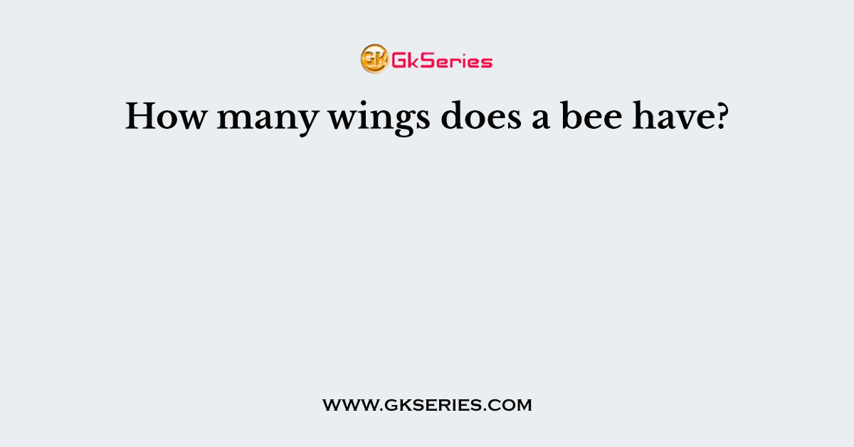How many wings does a bee have?