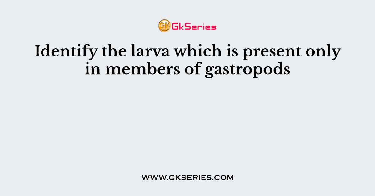 Identify the larva which is present only in members of gastropods