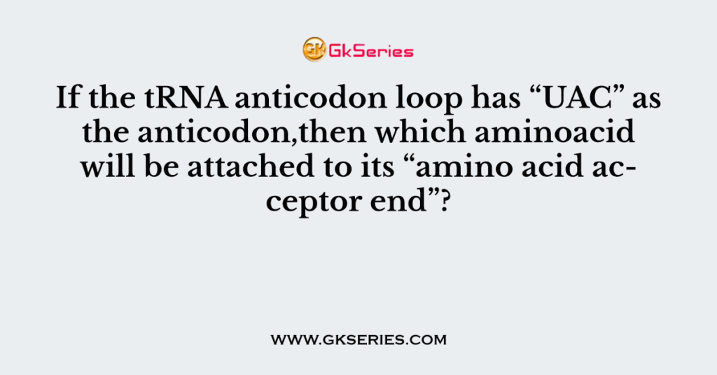 If the tRNA anticodon loop has “UAC” as the anticodon,then which aminoacid will be attached to its “amino acid acceptor end”?