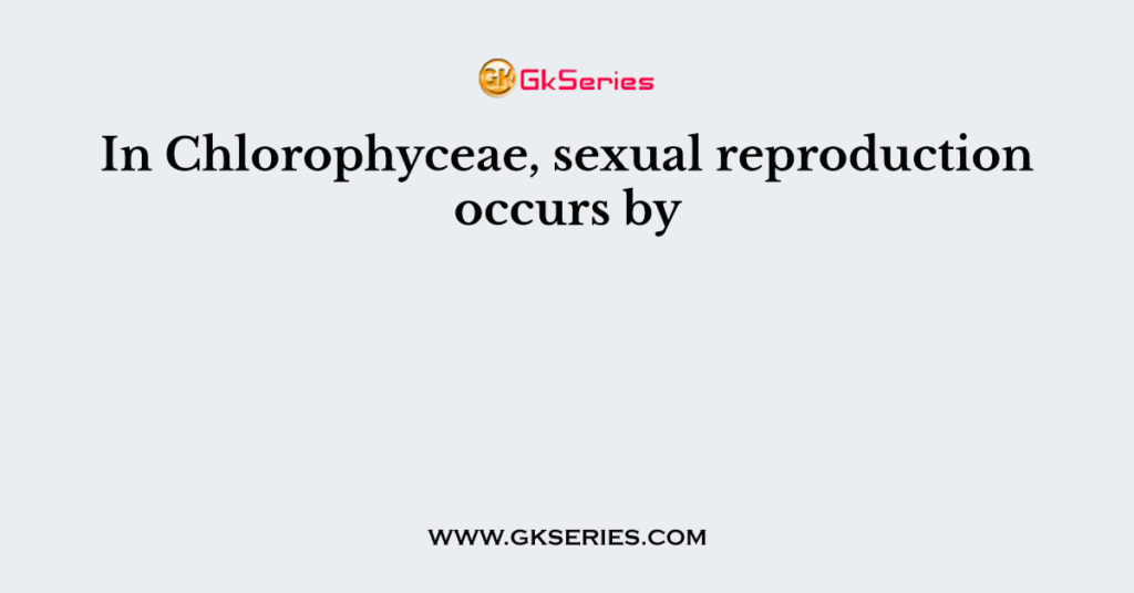 In Chlorophyceae, sexual reproduction occurs by