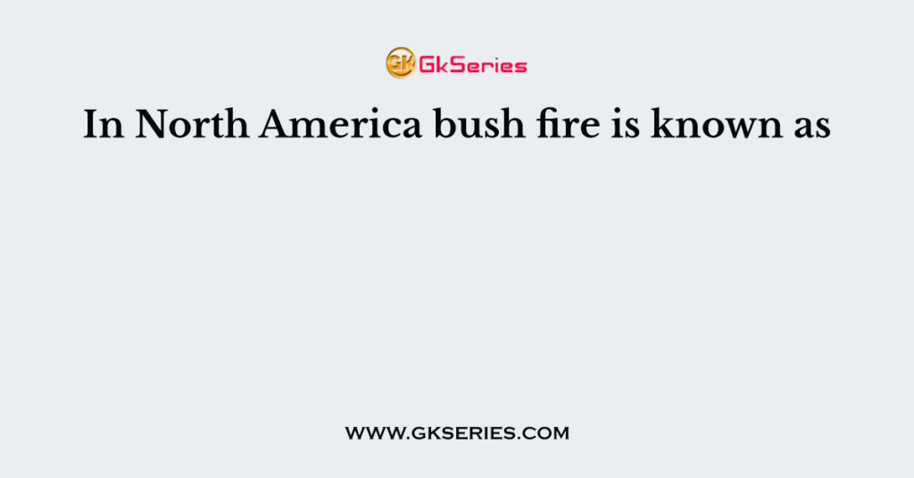 In North America bush fire is known as