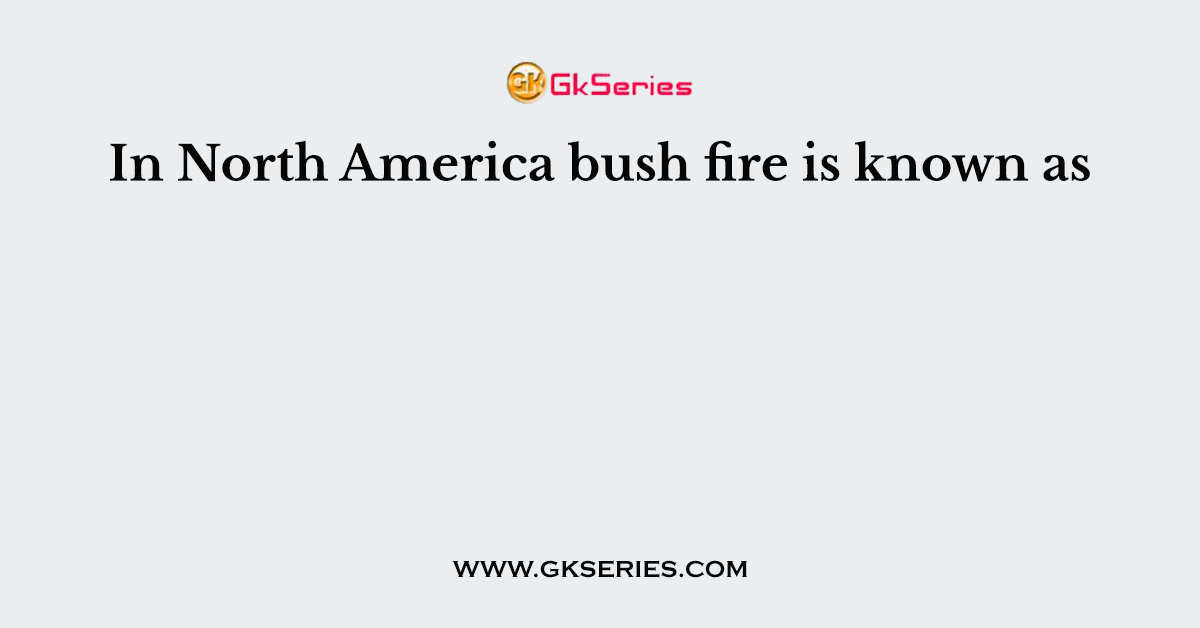 In North America bush fire is known as