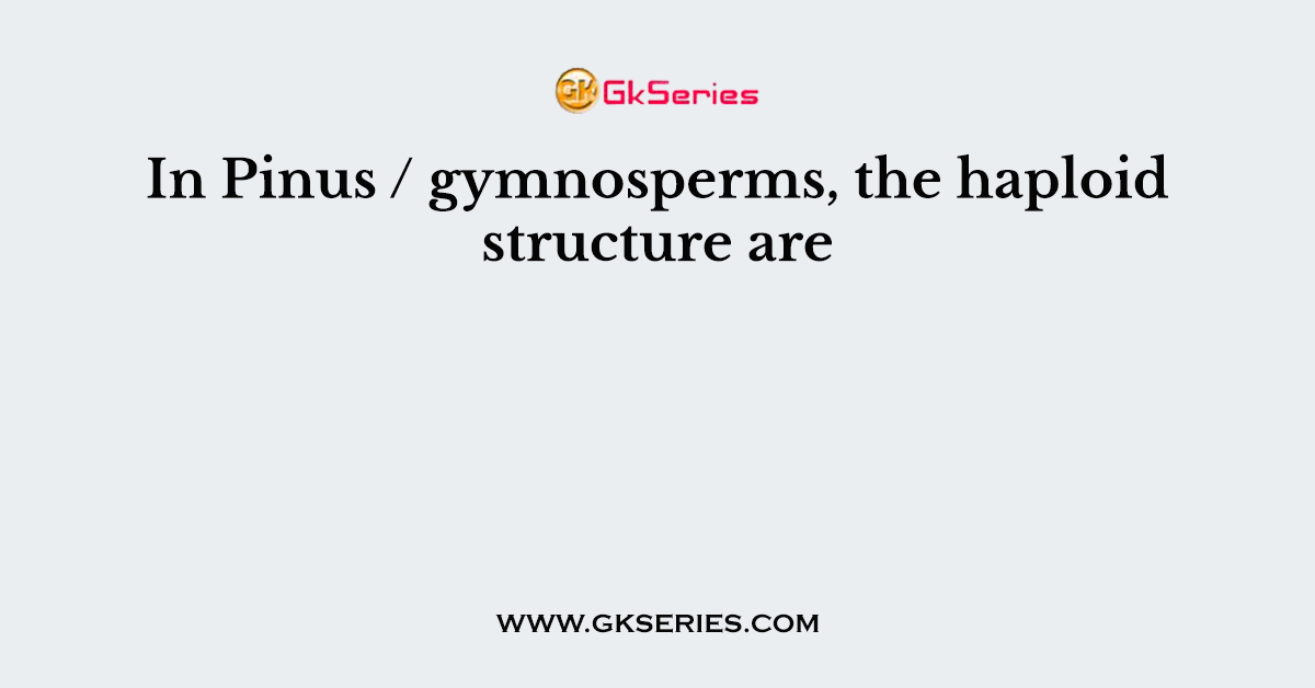 In Pinus / gymnosperms, the haploid structure are