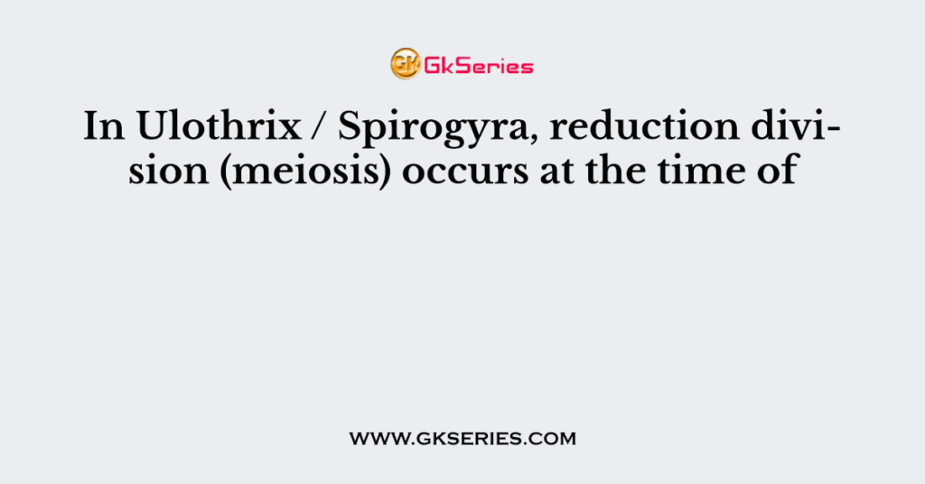 In Ulothrix / Spirogyra, reduction division (meiosis) occurs at the time of