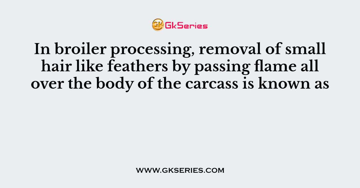 In broiler processing, removal of small hair like feathers by passing flame all over the body of the carcass is known as