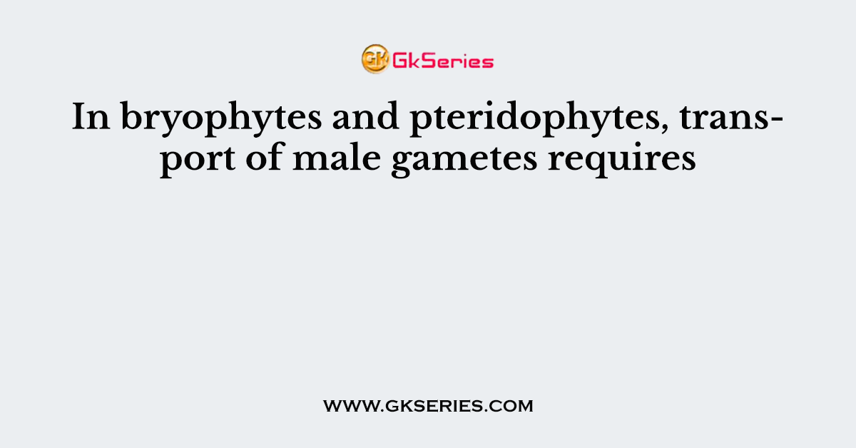 In bryophytes and pteridophytes, transport of male gametes requires