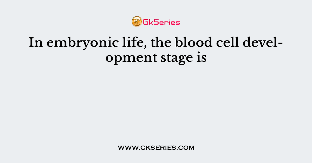 In embryonic life, the blood cell development stage is