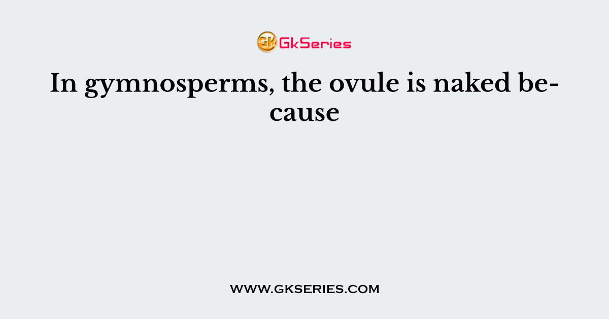 In gymnosperms, the ovule is naked because