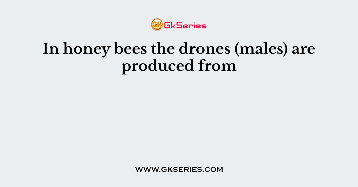 In honey bees the drones (males) are produced from