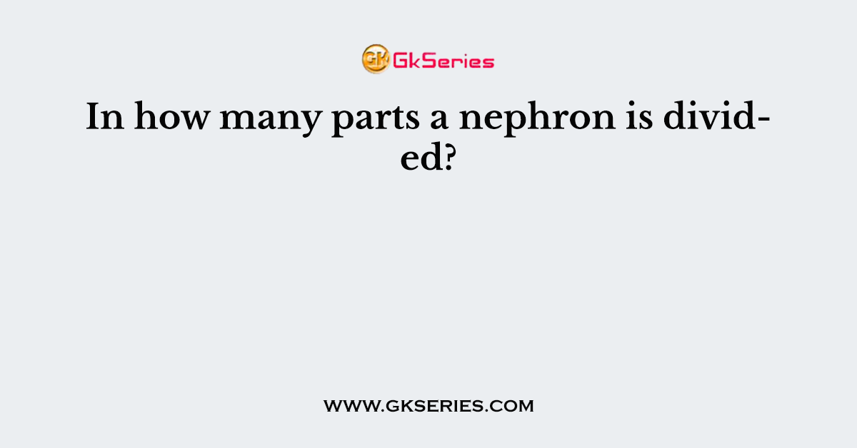 In how many parts a nephron is divided?