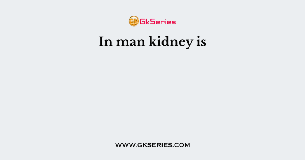 In man kidney is