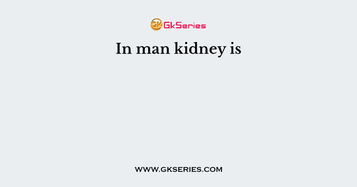 In man kidney is