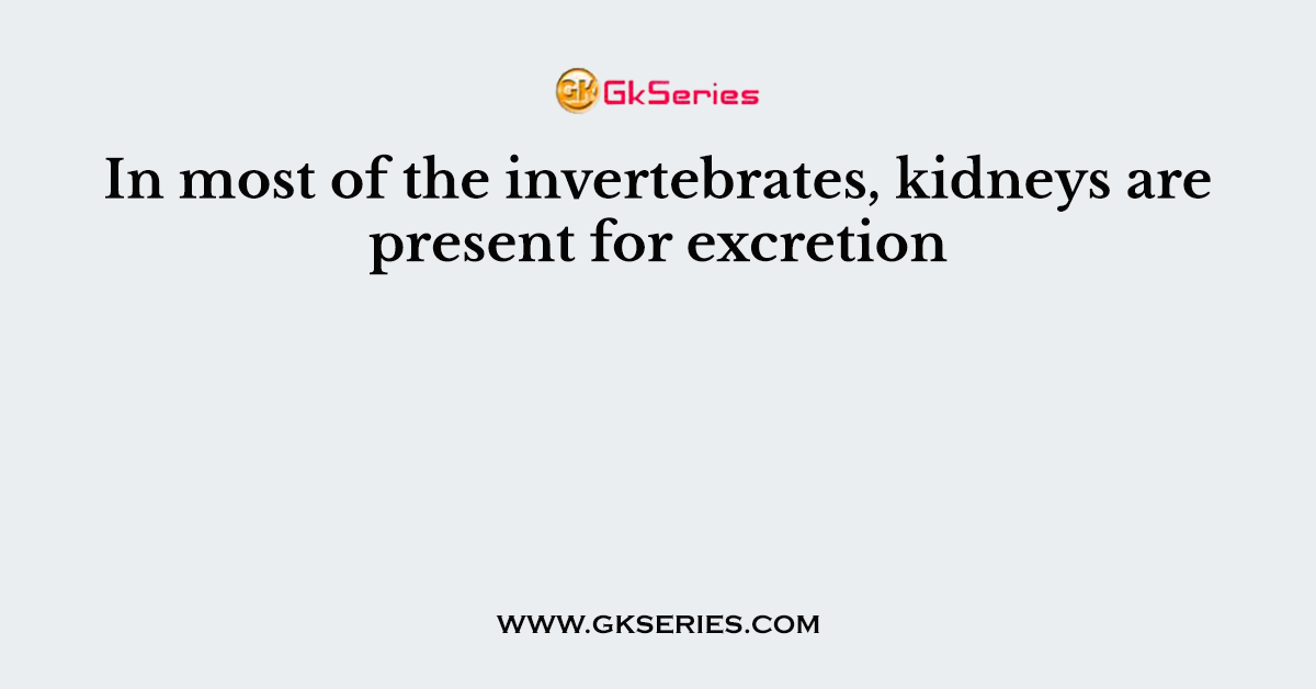 In most of the invertebrates, kidneys are present for excretion
