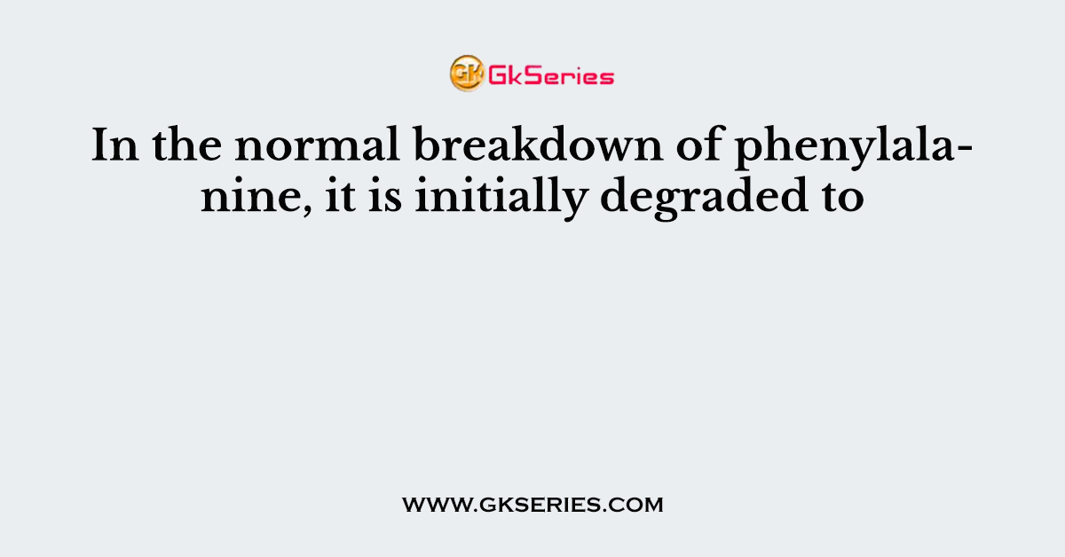 In the normal breakdown of phenylalanine, it is initially degraded to