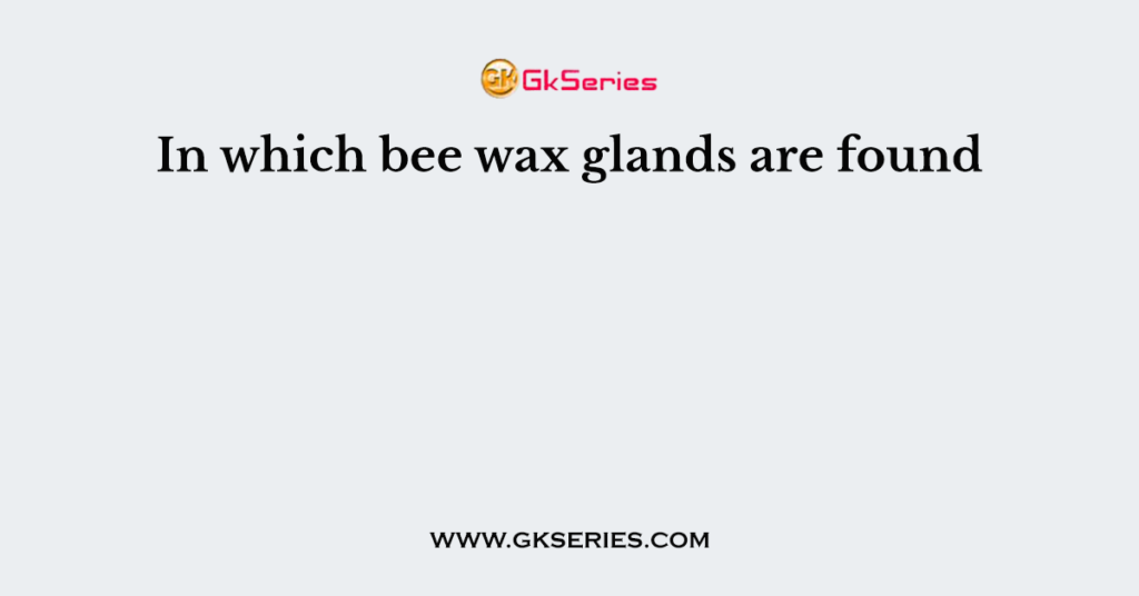 In which bee wax glands are found