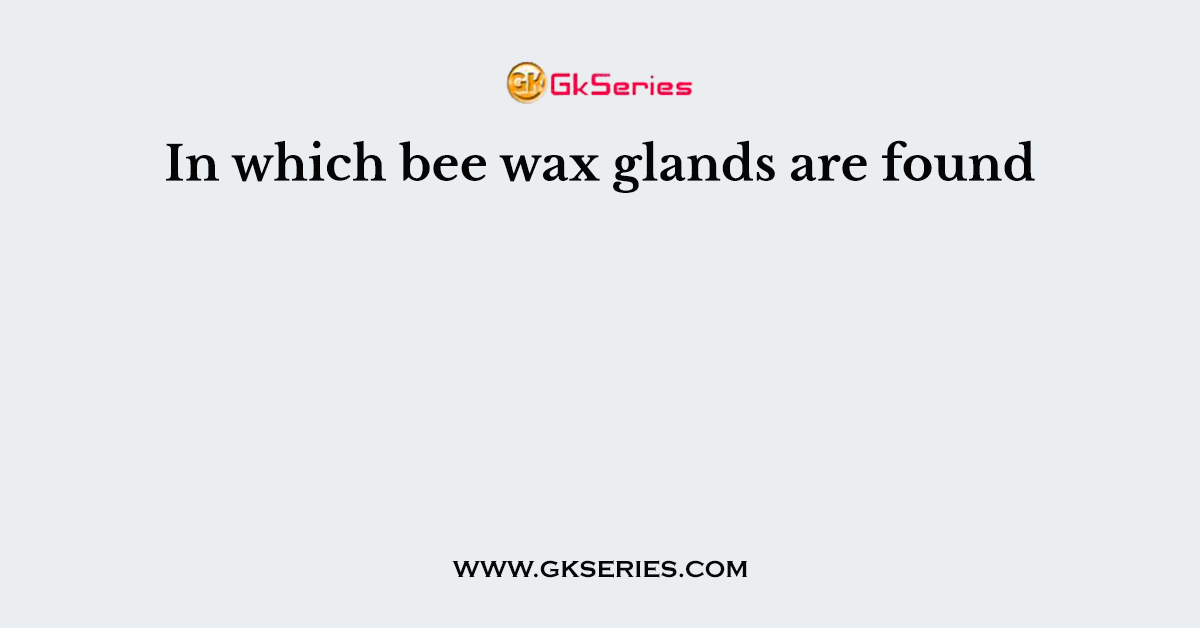 In which bee wax glands are found