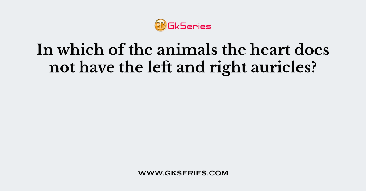 In which of the animals the heart does not have the left and right auricles?