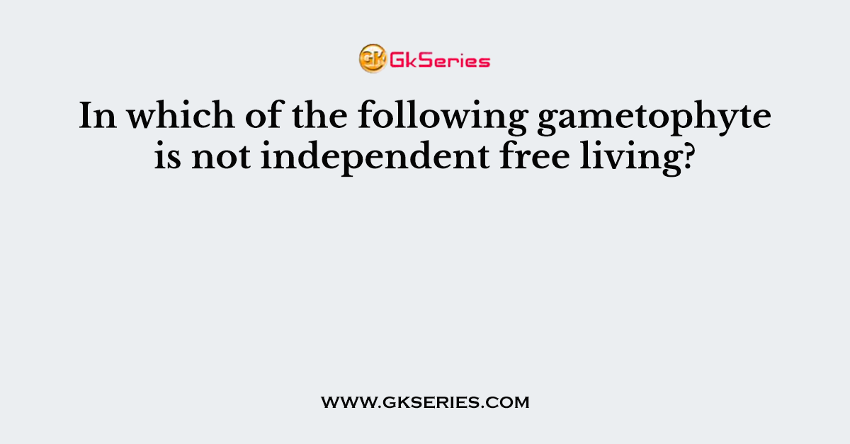 In which of the following gametophyte is not independent free living?