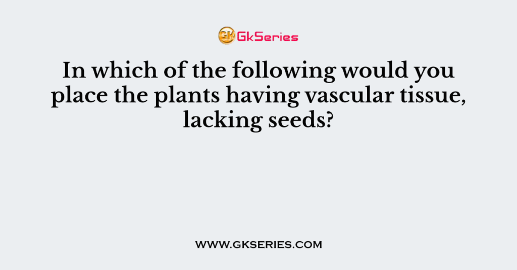 In which of the following would you place the plants having vascular tissue, lacking seeds?