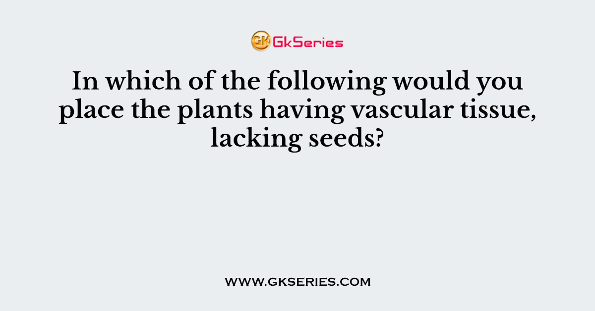 In which of the following would you place the plants having vascular tissue, lacking seeds?