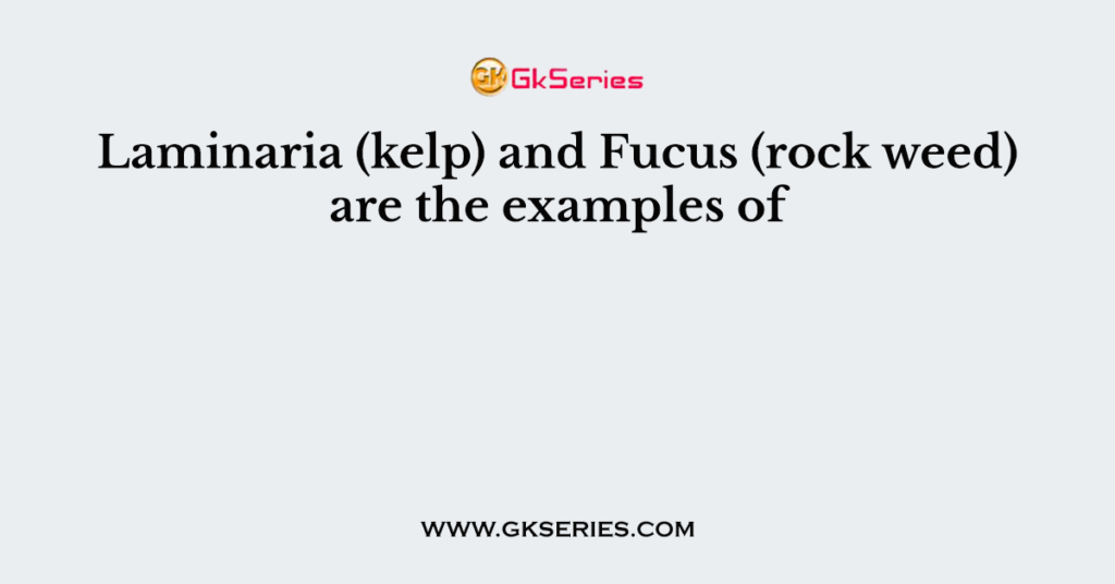 Laminaria (kelp) and Fucus (rock weed) are the examples of