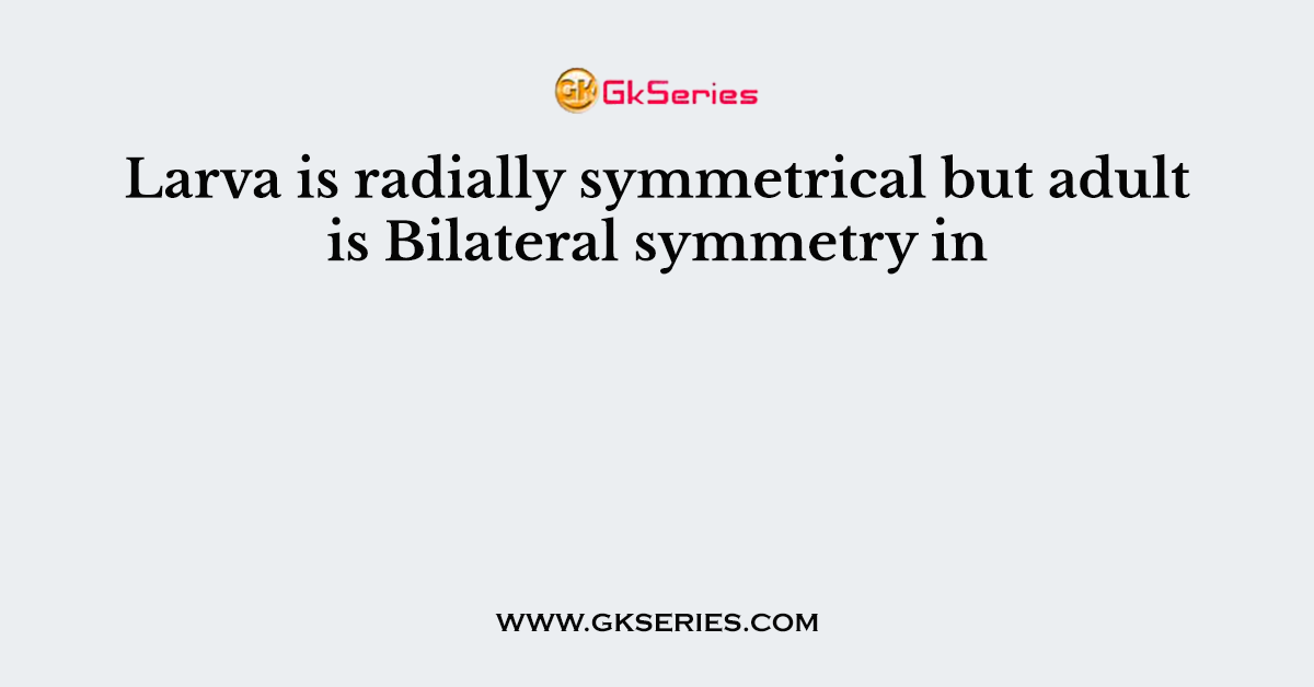 Larva is radially symmetrical but adult is Bilateral symmetry in