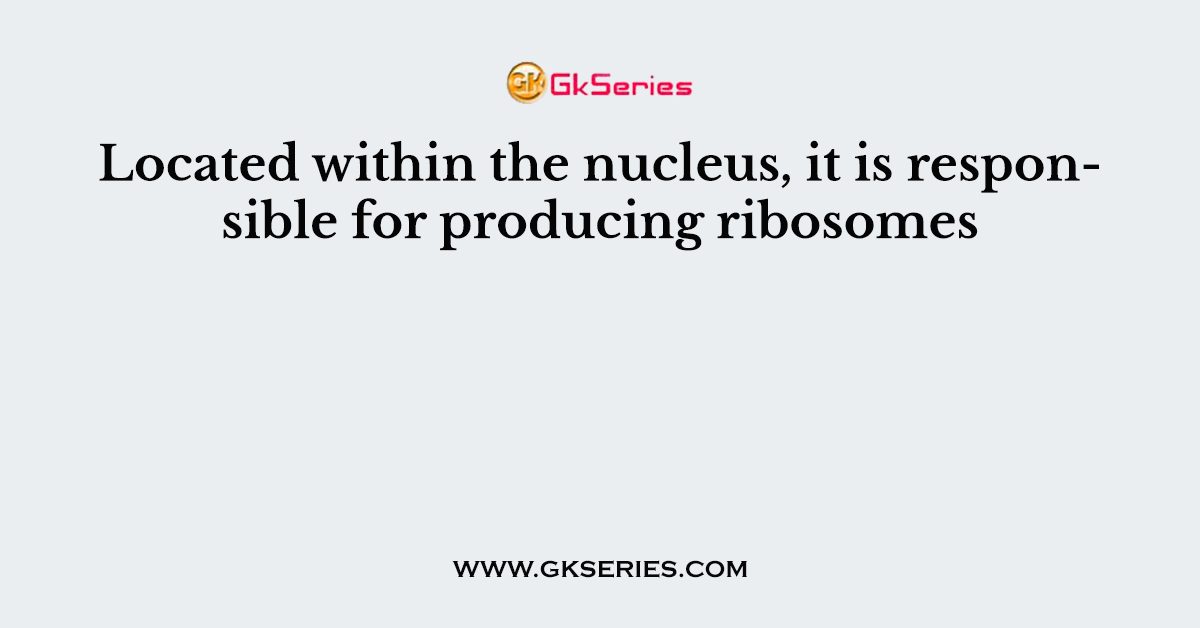 Located within the nucleus, it is responsible for producing ribosomes