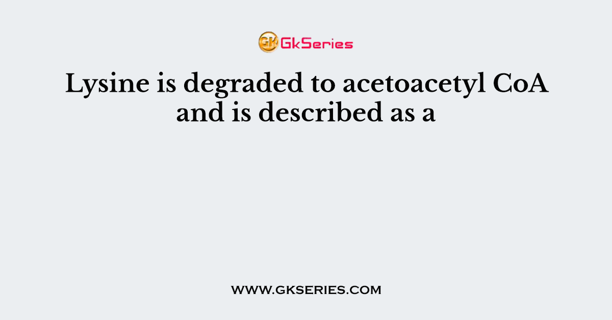 Lysine is degraded to acetoacetyl CoA and is described as a