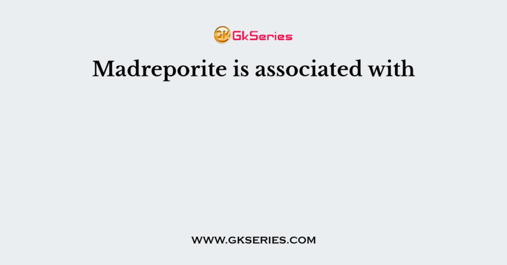 Madreporite is associated with