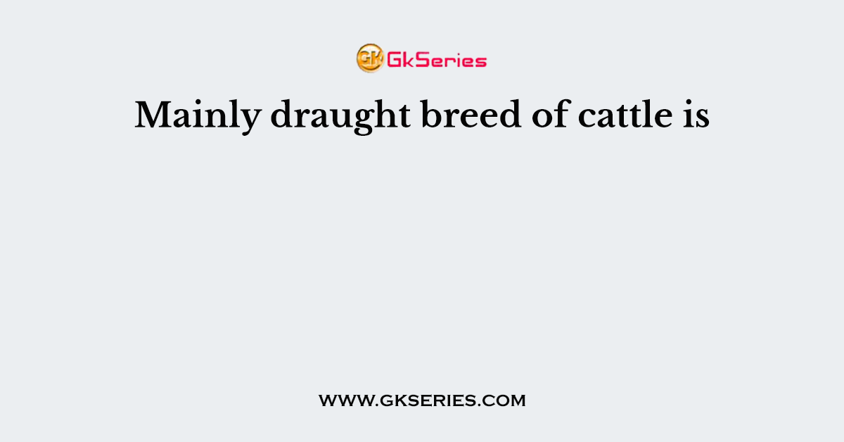 Mainly draught breed of cattle is