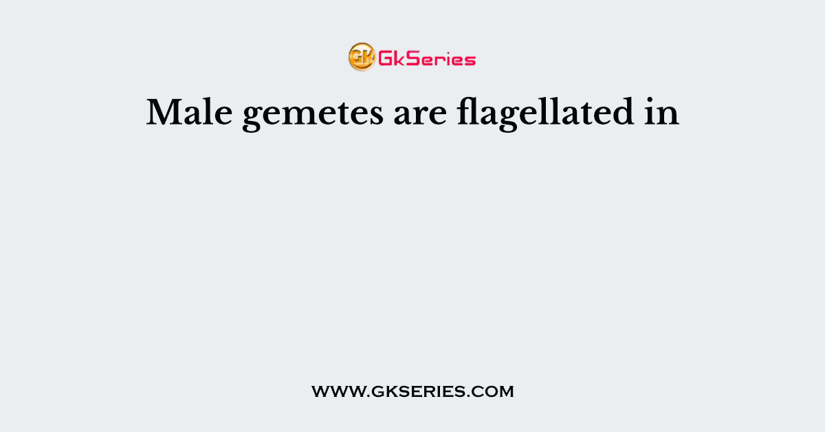 Male gemetes are flagellated in